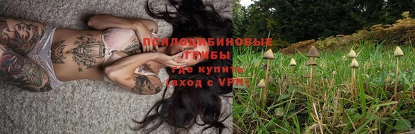 первитин Армянск