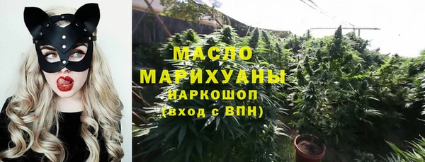 молекула духа Арсеньев