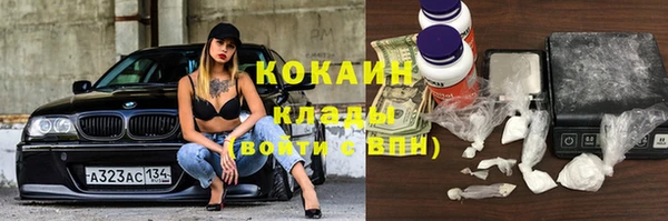 молекула духа Арсеньев