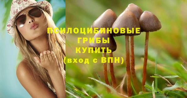 спайс Валдай