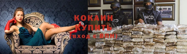 молекула духа Арсеньев