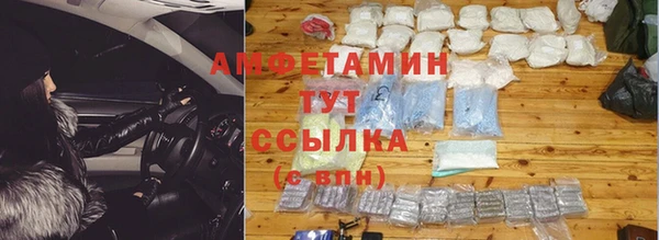 молекула духа Арсеньев