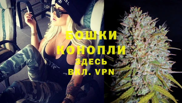 молекула духа Арсеньев