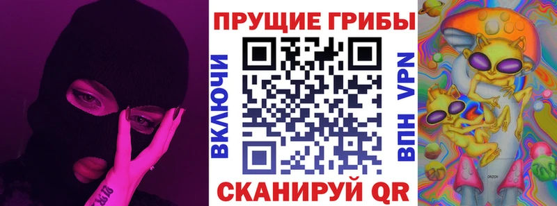 площадка наркотические препараты  Канаш  Галлюциногенные грибы Cubensis 