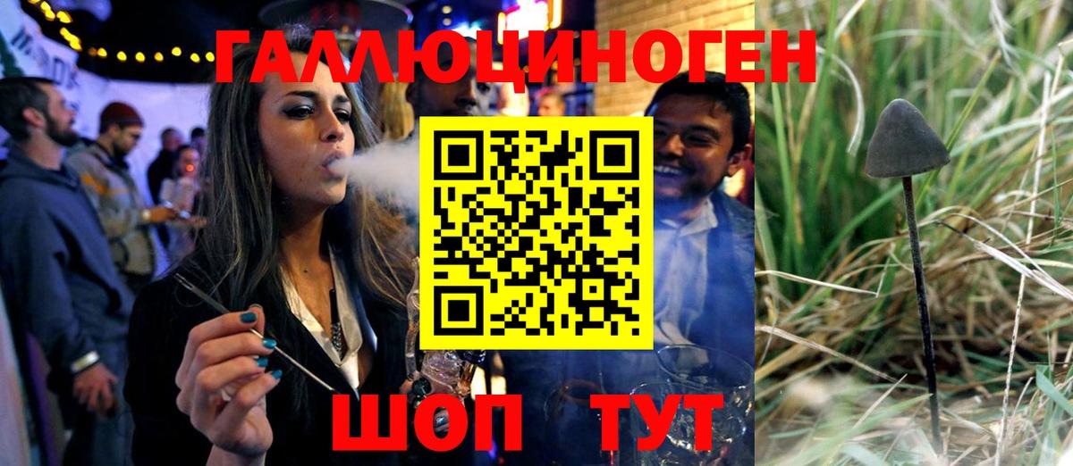 Галлюциногенные грибы Cubensis  Псилоцибиновые грибы MAGIC MUSHROOMS  Канаш  Вход с VPN 