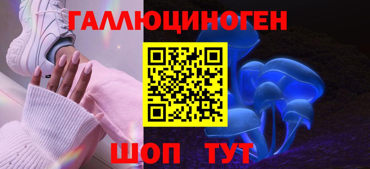 Псилоцибиновые грибы Cubensis Канаш