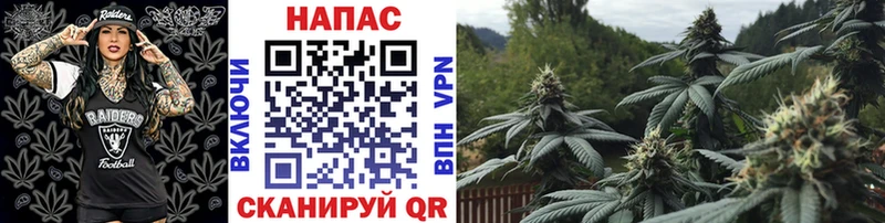 Каннабис гибрид  цены наркотик  hydra   Канаш 