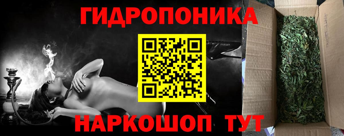 Канаш  Шишки марихуана план  Бошки марихуана ГИДРОПОН  Вход с VPN  МАРИХУАНА индика 